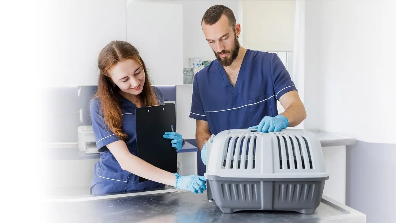 DOSYA MASRAFSIZ KREDİ VE 20.000 TL İNDİRİM FIRSATI