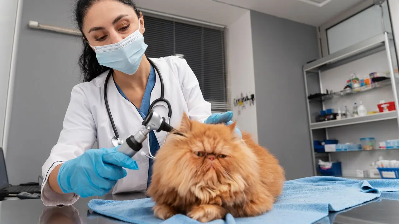 DOSYA MASRAFSIZ KREDİ VE 20.000 TL İNDİRİM FIRSATI